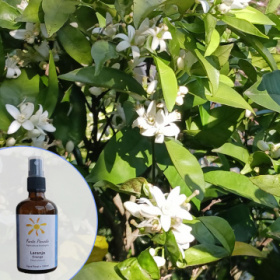 werbung-orangehydrolat