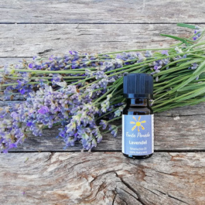 lavendel-10ml