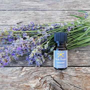 lavendel-10ml